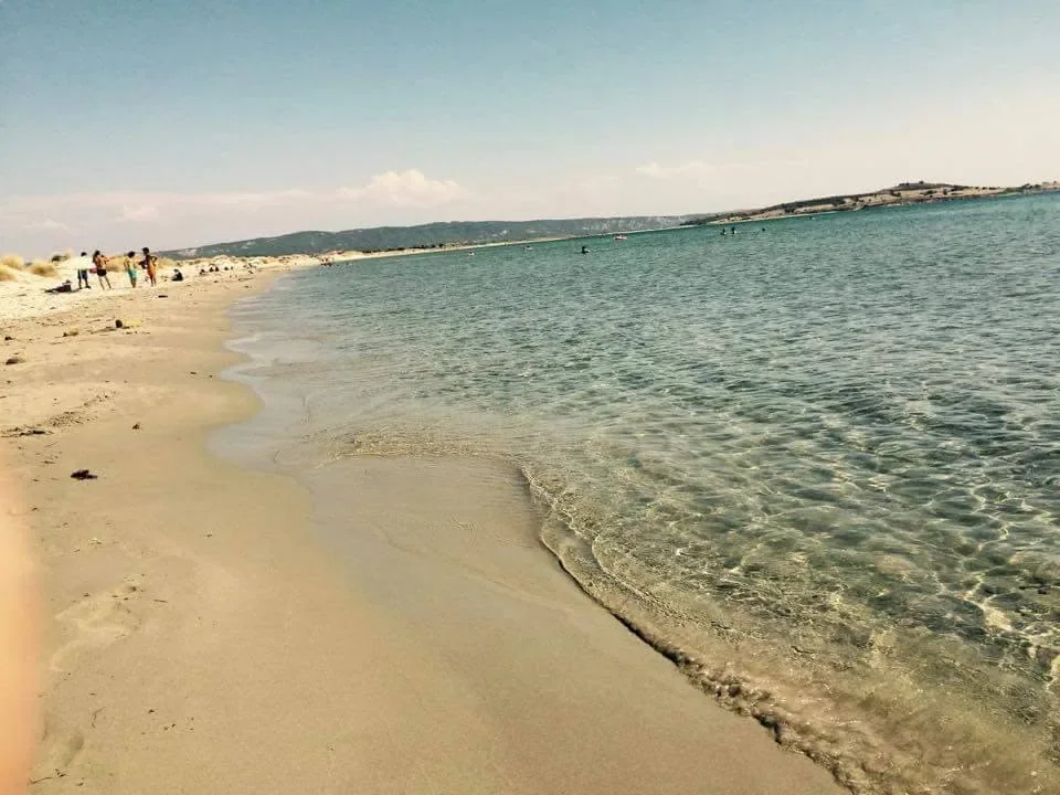 Suvla Koyu